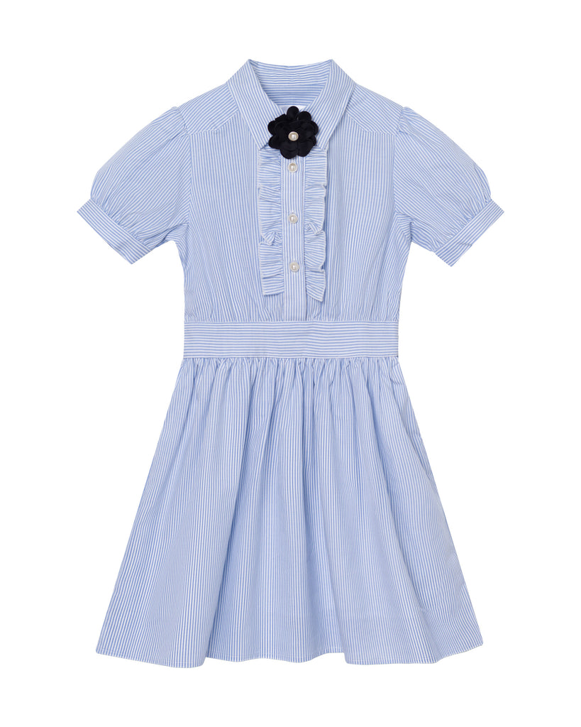 Ariel (light blue stripe)