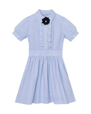 Ariel (light blue stripe)