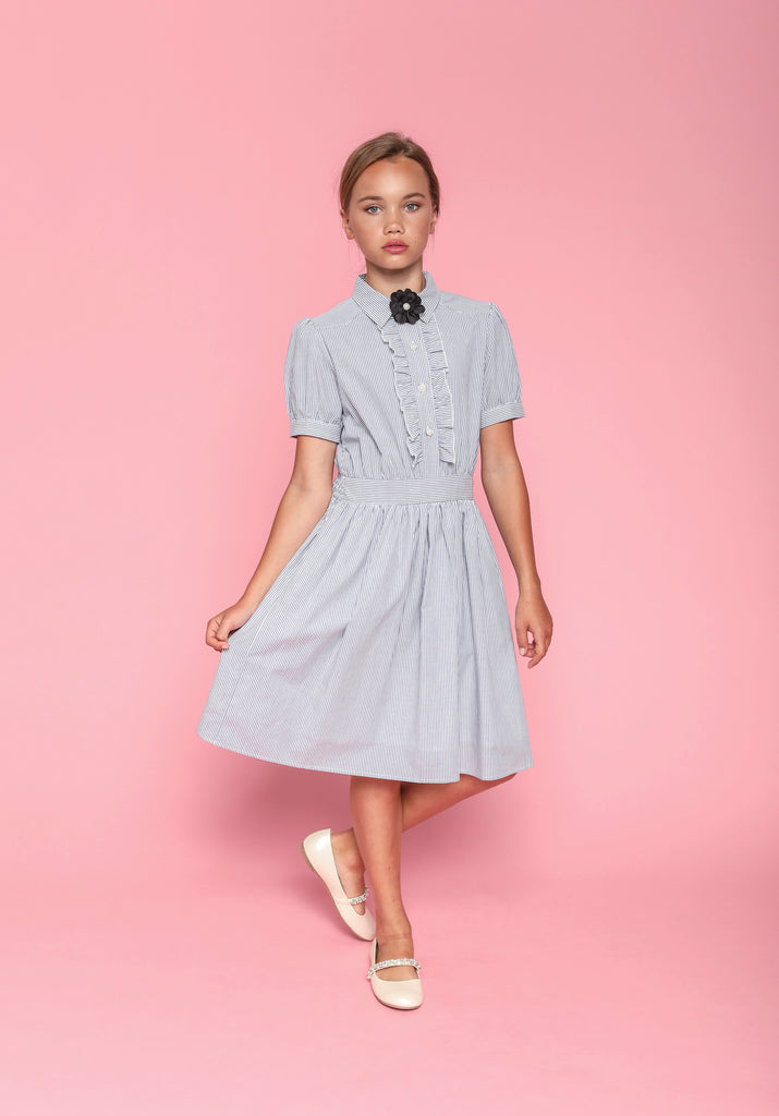 Ariel (blue stripe)