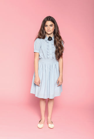 Ariel (light blue stripe)