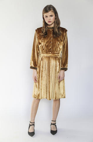 Vivienne dress (velvet gold)